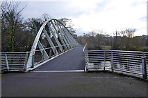 W6671 : Mardyke Bridge over River Lee, north channel, Cork by Robin Webster