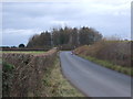 Charity Lane towards Harrington