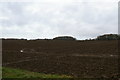 View north off Harrow Lane