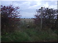 Footpath towards the England Coastal Path