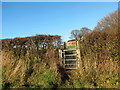 Llwybr Llainffynnon / Llainffynnon Path