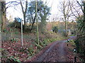 Llwybr ger Felin Gelli / Path near Felin Gelli