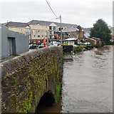 W6771 : River Lee, south channel, Cork by Robin Webster