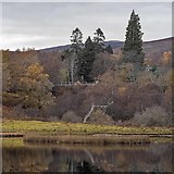 NH8305 : Loch Insh by valenta