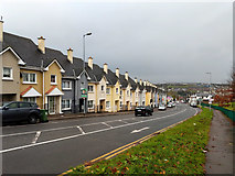 W6672 : Row of houses, Sunvalley Drive, Cork by Robin Webster