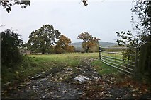 SP0227 : Field by Corndean Way, Winchcombe by David Howard