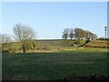 Bessalone covered reservoir and phone mast