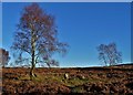 SK2476 : View of the stone circle above Froggatt Edge by Neil Theasby