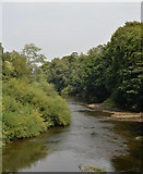 SE3967 : The River Ure seen from the Borough Bridge, Boroughbridge by habiloid