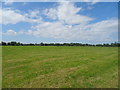 Cut silage field off Wick Road