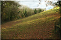 Meadow by Tennacott Lane