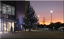 SK5802 : Christmas tree at the King Power Stadium by Mat Fascione