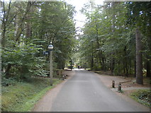 SK6363 : Internal roadway, Center Parcs Sherwood Forest (1) by Richard Vince