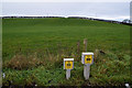 Gas pipeline markers, Ranelly