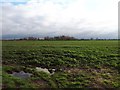 View towards Stanford Park Island