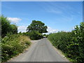 Silver Moor Lane near Cannaway