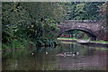 Limekiln Bridge south of Trentham in Stoke-on-Trent