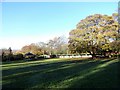 NZ2560 : South side of Saltwell Park by Robert Graham