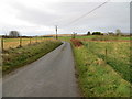 Fence-lined minor road at Cowbog