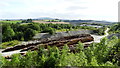 Lea Quarry near Much Wenlock - wood stacks