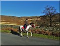 SK2384 : Morning horse ride near Stanage Edge by Neil Theasby