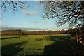 Sheep pasture east of Lewdons Farm