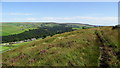 Path below Mount Pleasant, Hebden Dale