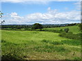 Farmland near Chelvey 