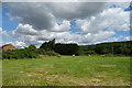 Cut silage field with bales, West Town