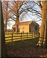 Through the trees to St Peter