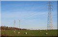 Pasture and pylons