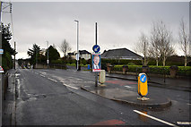 H4473 : Election poster along Derry Road, Omagh by Kenneth  Allen