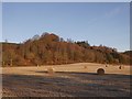 Stubble and round bales, Hosh