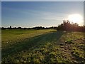 Low sun over Heslington East