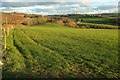 Field near Southcott Cottages