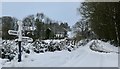 ST1334 : Snow at Crowcombe Heathfield by Marika Reinholds