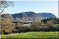 Deciduous trees in the vicinity of Thackthwaite