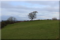 SD6367 : Pasture above the Hindburn Valley by Chris Heaton