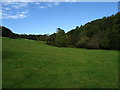 Grazing and woodland, Kitchenroyd