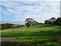 SE2509 : Fields near Lane End Farm by JThomas