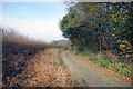 Lane near Bradenham