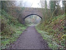 SJ6703 : Bridge over a disused railway line by Philip Halling