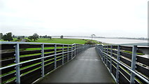 SX9784 : Powderham Cycle Bridge, near Powderham Church by Colin Park