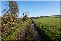TA0967 : Bridleway towards Woldgate by Ian S