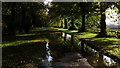 Tree-lined avenue, at Park Lodge, Welbeck Park