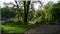 Pond & path jct Clayton Vale, Clayton, Manchester