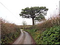 Heol ger Ffarm Fforest Isaf  / A road near Fforest Isaf Farm