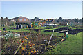 Allotments, Chequers Lane