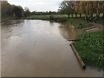 SP2965 : The river has risen following rain overnight, Warwick (1) by Robin Stott