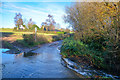 East Budleigh : Sawmill Lane